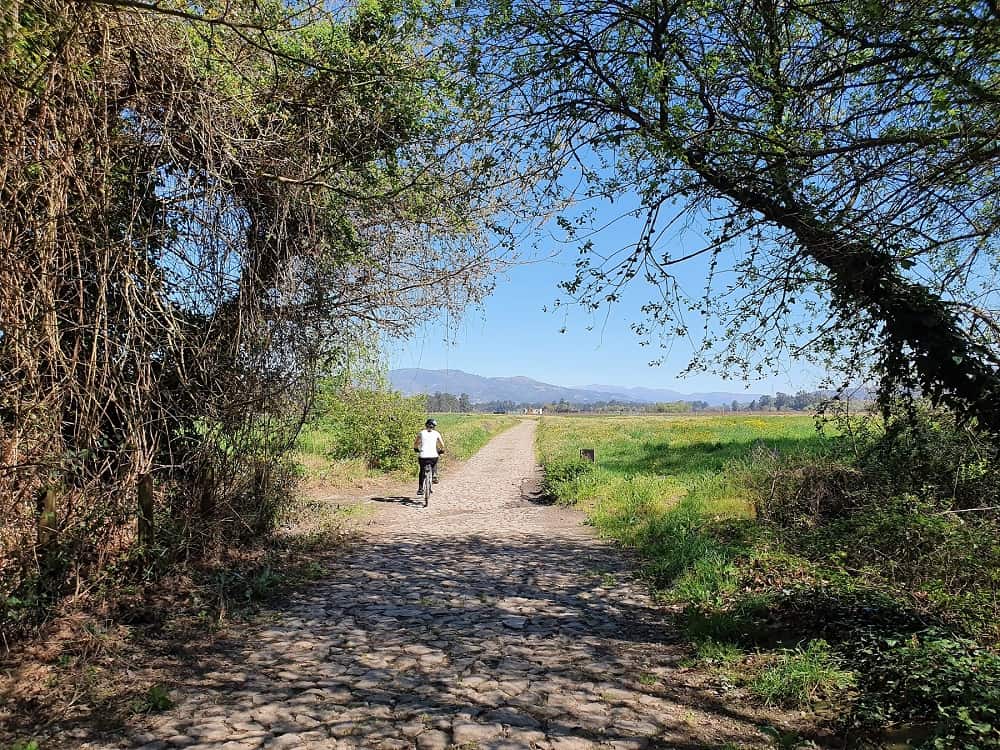 37 great ideas for active retirement trails