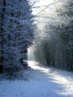 winter hiking